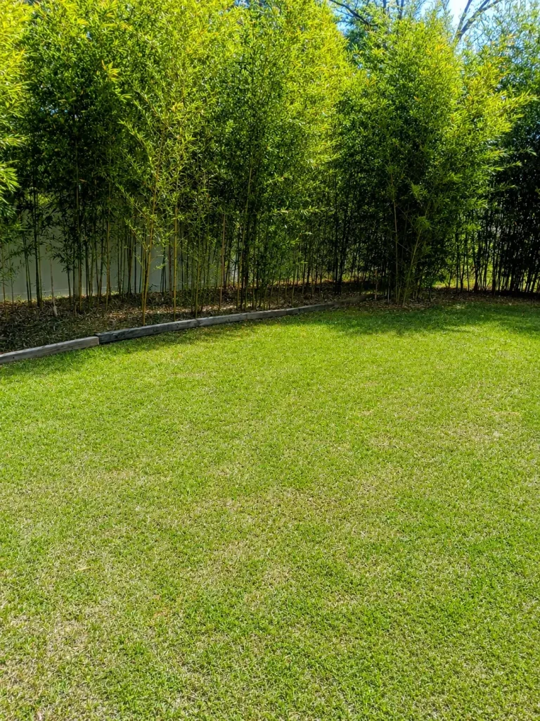 Landscaping by Premium Petals in the Wiregrass, AL