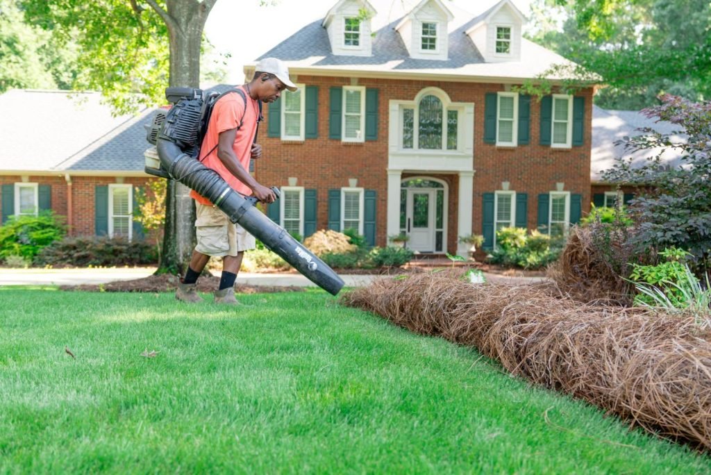 Lawn care and mowing in Dothan AL by Premium Petals