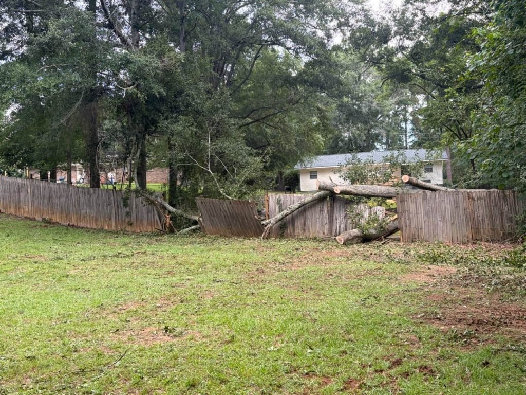 After: cleared yard, Blessed Landscapes tree project by Premium Petals