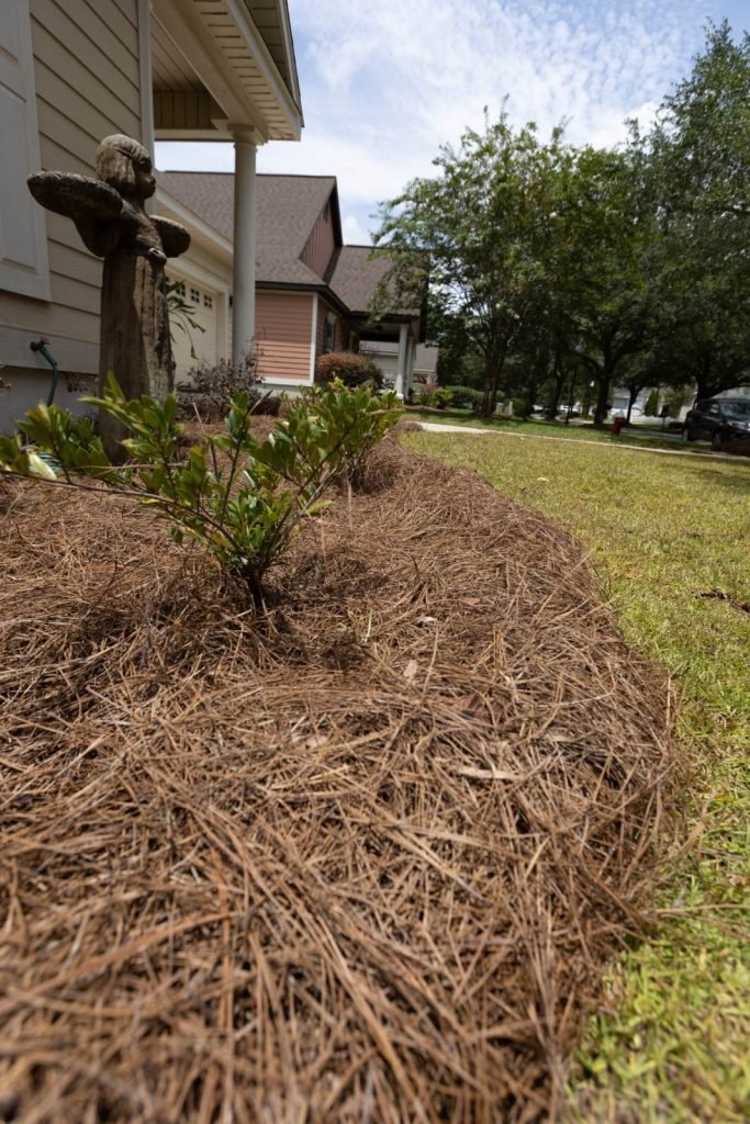 Blessed Landscapes yard transformation by Premium Petals in the Wiregrass, AL