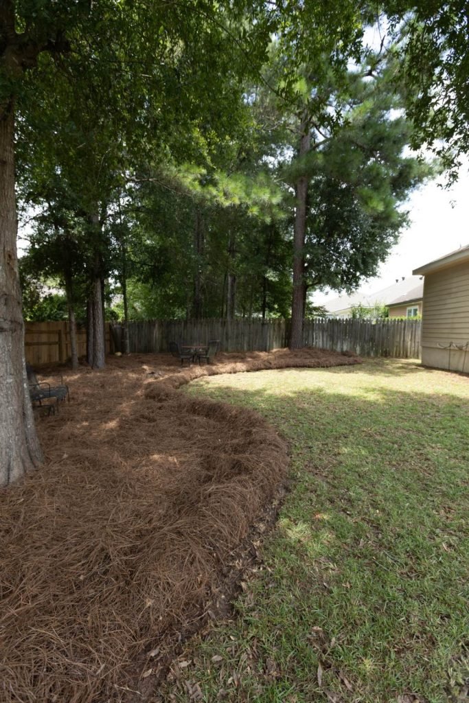 Blessed Landscapes yard transformation by Premium Petals