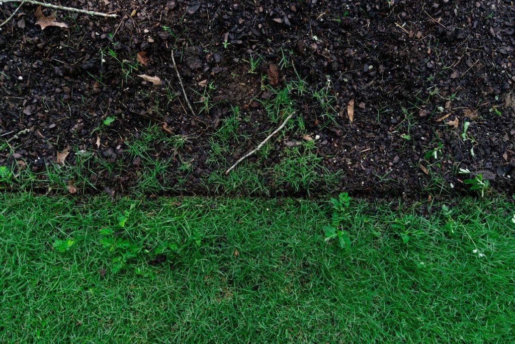Landscaping by Premium Petals in the Wiregrass, AL