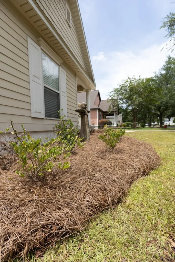 Manicured lawn with clean edging by Premium Petals in Dothan, AL
