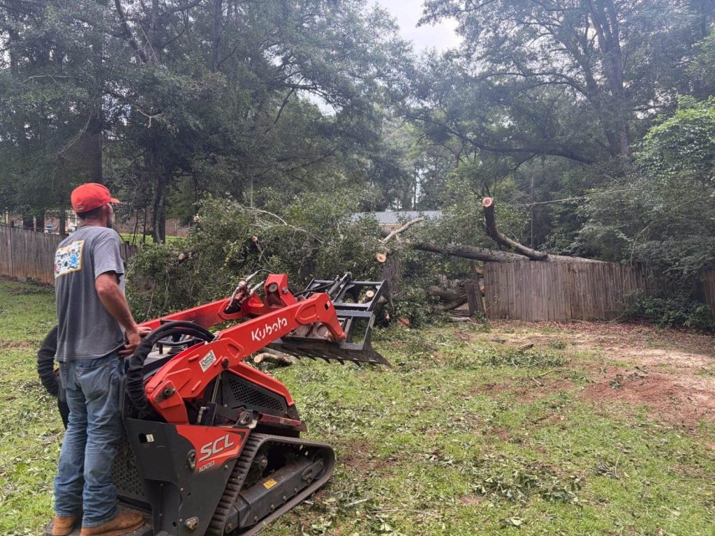 Tree removal in Dothan AL by Premium Petals