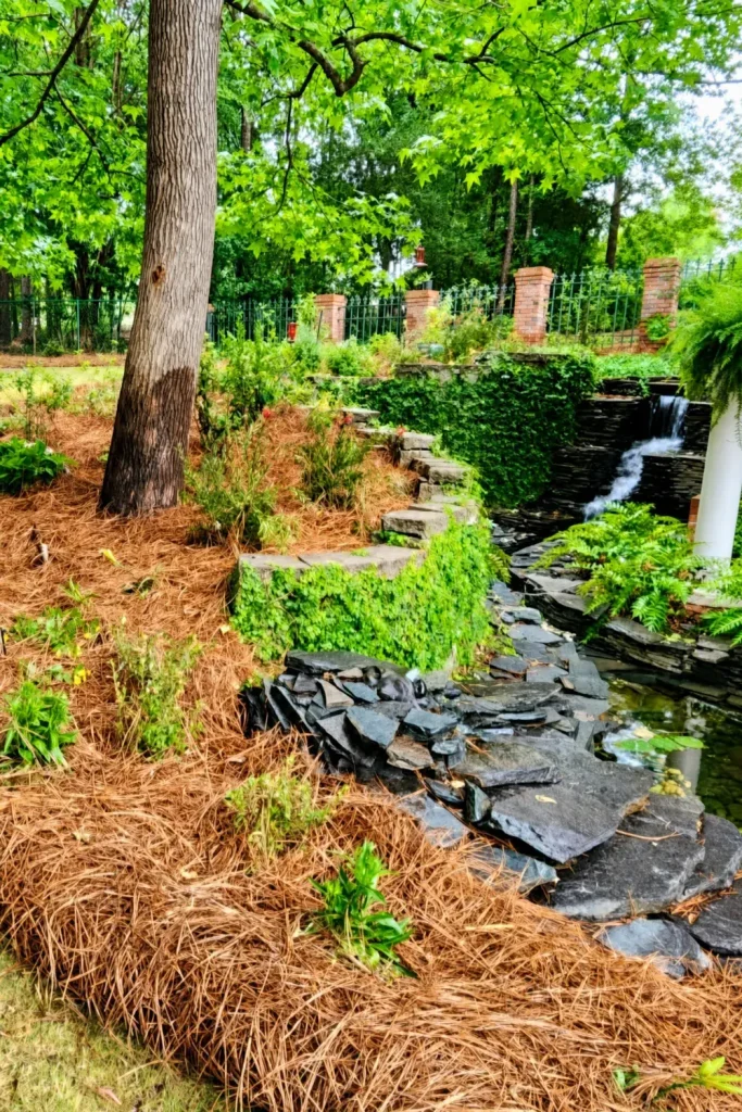 Landscaping in Abbeville, AL by Premium Petals