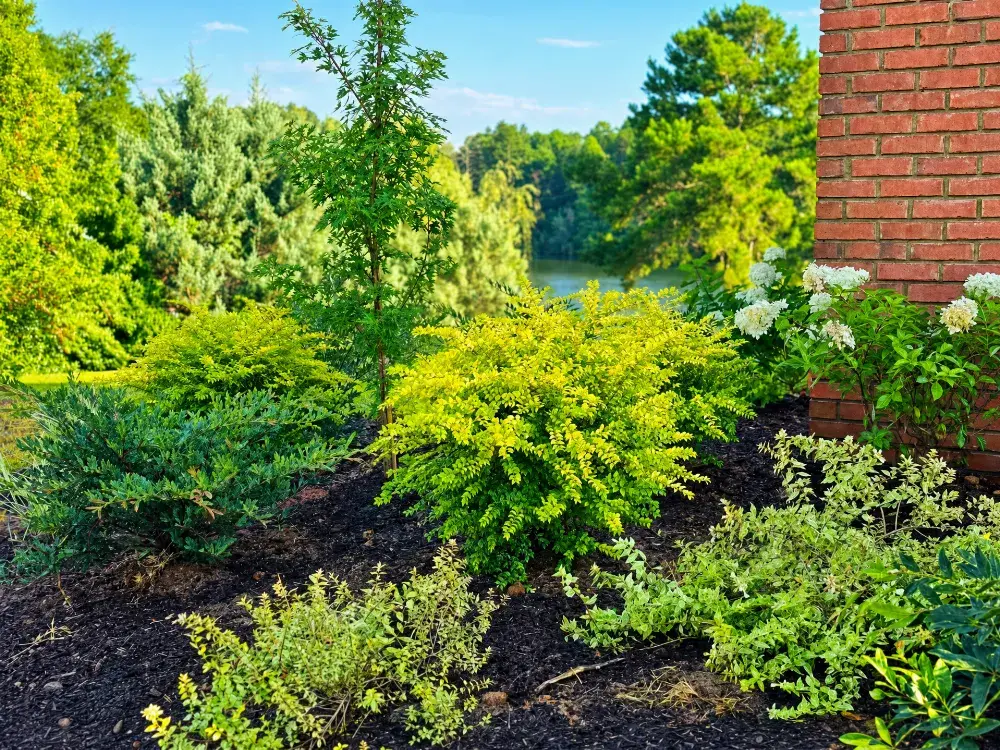 Landscaping in Abbeville, AL by Premium Petals