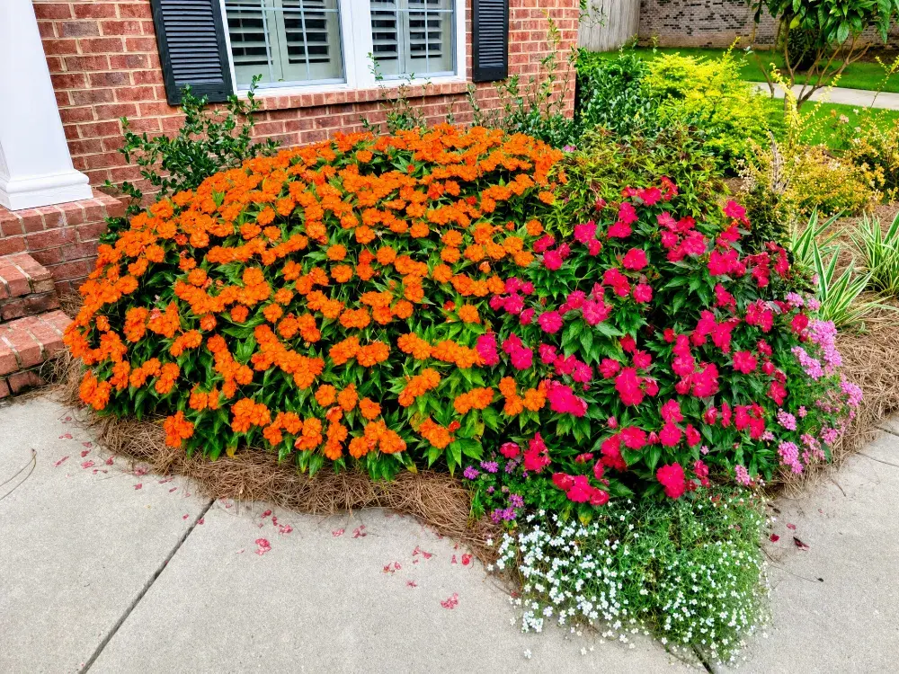 Landscaping in Abbeville, AL by Premium Petals