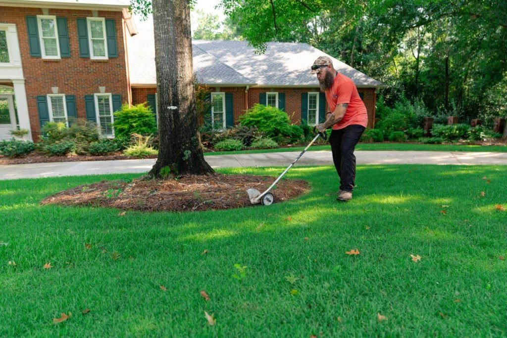 Yard maintenance and lawn care in Dothan AL by Premium Petals